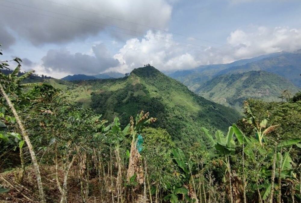 Inclusión de la percepción de las comunidades en la línea de base socioeconómica (LBS) sobre el proyecto minero Guayabales en Marmato y Supía – Colombia