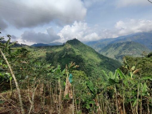 Inclusión de la percepción de las comunidades en la línea de base socioeconómica (LBS) sobre el proyecto minero Guayabales en Marmato y Supía – Colombia