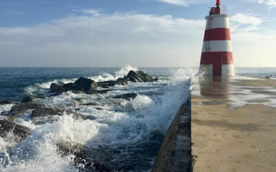 Resettlment Action Plan review for French Development Agency (AFD) – Vietnam