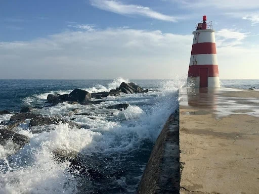 Revue du Plan d&rsquo;Action de Réinstallation pour l’Agence Française de Développement (AFD) – Vietnam