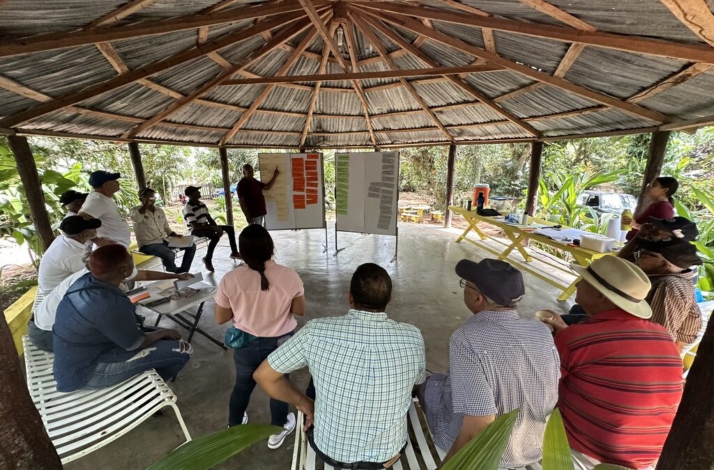 Promotion of Inclusion and Accountability in the REDD+ Program in Dominican Republic