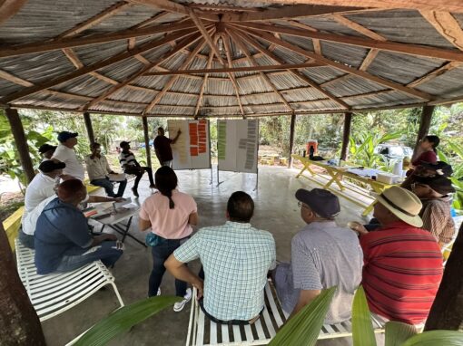 Promotion de l&rsquo;Inclusion et de la Redevabilité dans le Programme de Réduction des Émissions REDD+ en Répubique Dominicaine