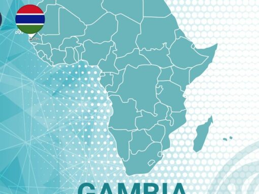 Check back soon to discover our projects and case studies there.