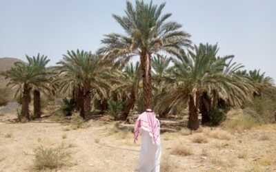 Revue de l’impact social après modification d&rsquo;un projet minier – Arabie Saoudite