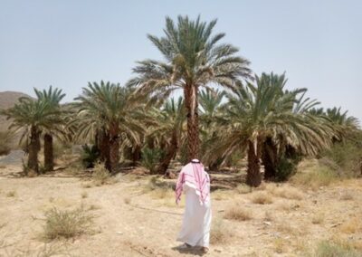 Review of Social Impact Assessment following Footprint Variation – Saudi Arabia