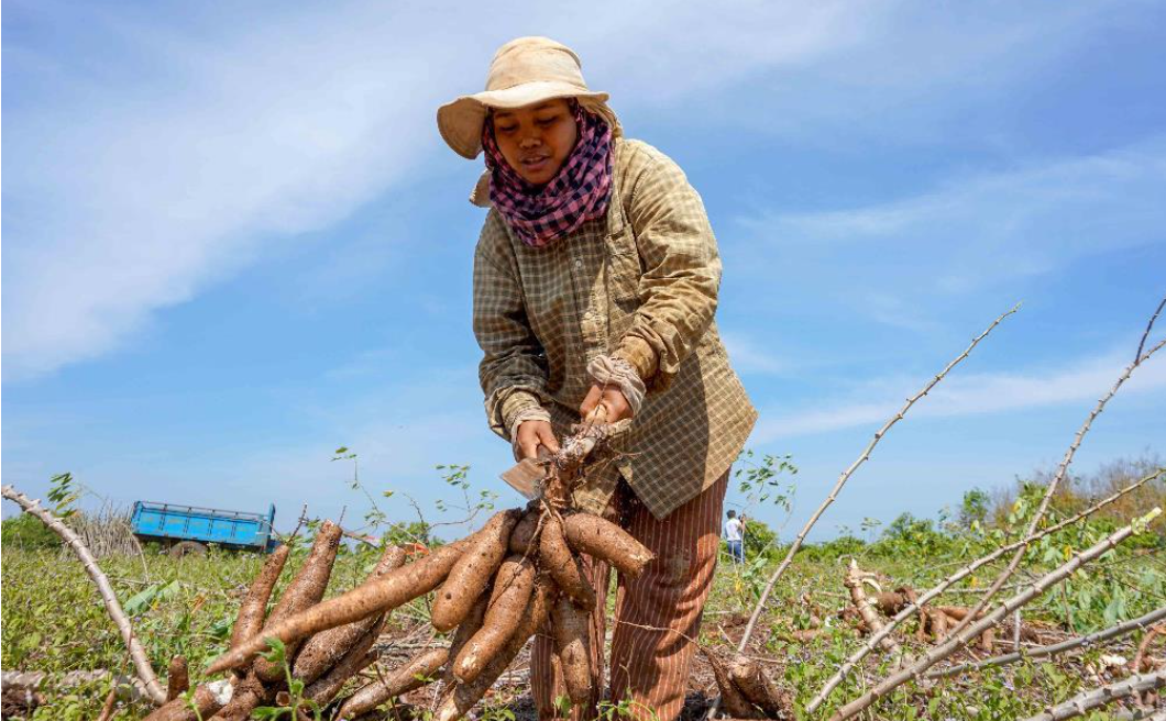 Credit : Australian Centre for International Agricultural Research