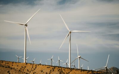 Environmental and Social Monitoring support for a wind farm project – Djibouti