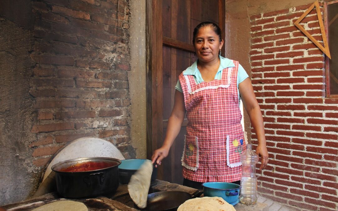 Evaluación de los riesgos sociales y culturales relacionados con el proyecto Tikva Fiber Óptica – México