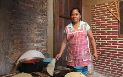 Social and Cultural Risk Assessment for the Tikva Fiber Optic Project – Mexico