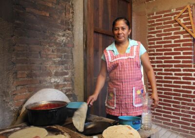 Evaluación de los riesgos sociales y culturales relacionados con el proyecto Tikva Fiber Óptica – México