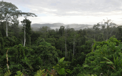 Mise à jour de l&rsquo;analyse environnementale et sociale d&rsquo;un Projet de Gaz de Pétrole Liquéfié – Papouasie-Nouvelle-Guinée