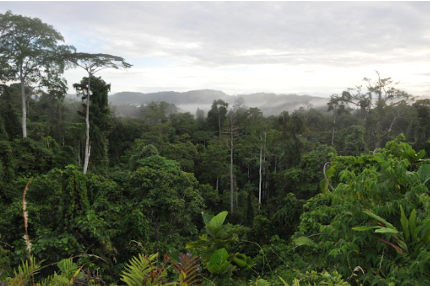 Crédits : TotalEnergies