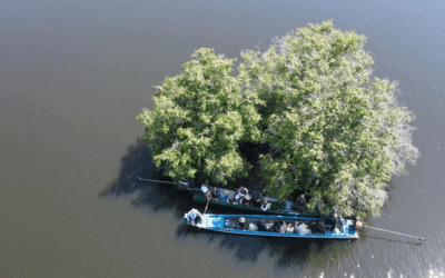 Study on the feasibility of a REDD+ project and PLANVIVO documentation – Cambodia