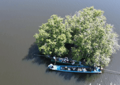 Estudio de factibilidad de un proyecto REDD+ y preparación de la documentación PLANVIVO – Camboya