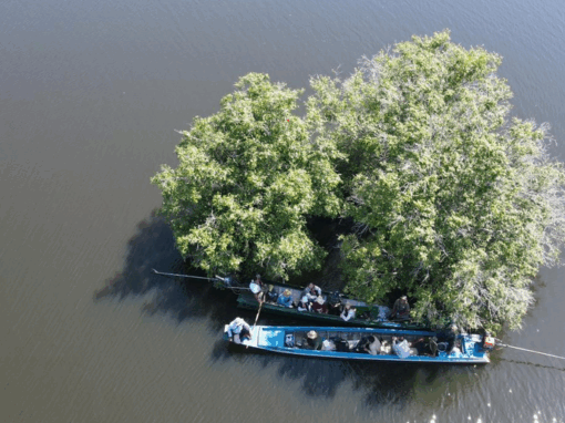 Étude de faisabilité d’un projet REDD+ et préparation de la documentation PLANVIVO – Cambodge