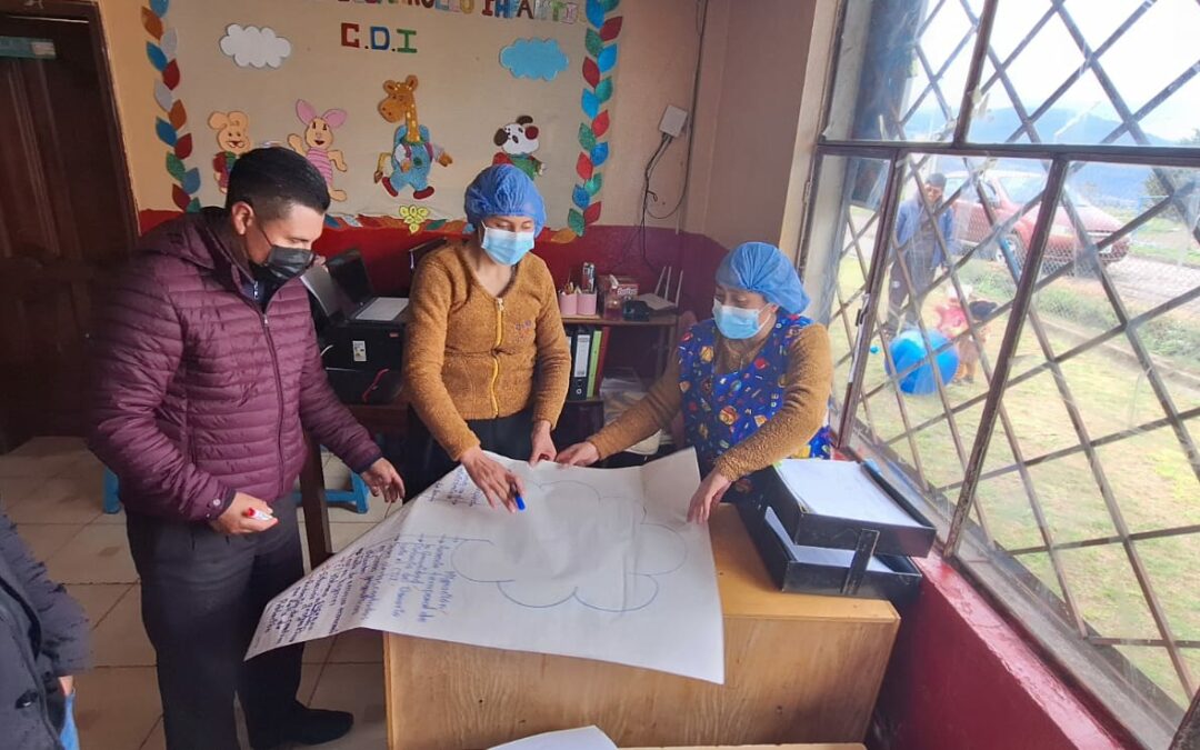 Plan to strengthen Social Protection Policy Interventions for the economic and social inclusion of indigenous population – Ecuador