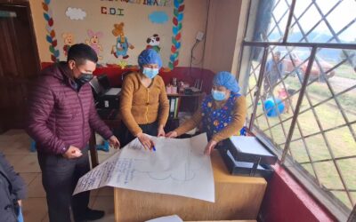 Plan to strengthen Social Protection Policy Interventions for the economic and social inclusion of indigenous population – Ecuador