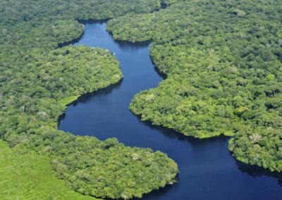 Analyse des labels et harmonisation – biodiversité amazonienne – Équateur
