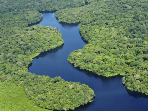 Analyse des labels et harmonisation – biodiversité amazonienne – Équateur