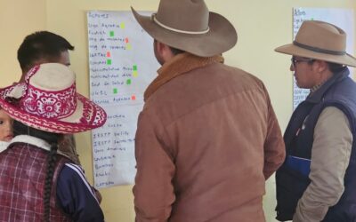 Baseline study for the design of a multi-stakeholder dialogue, in the province of Chumbivilcas – Peru