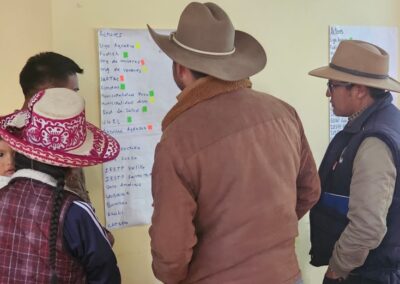 Baseline study for the design of a multi-stakeholder dialogue, in the province of Chumbivilcas – Peru
