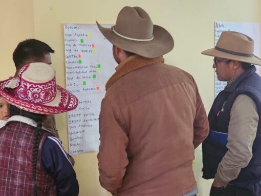 Étude de base pour la conception d&rsquo;un mécanisme de dialogue multi-acteurs de la province de Chumbivilcas – Pérou