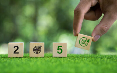 Social Impact Assessment Criteria for the certification of carbon market projects – Ecuador