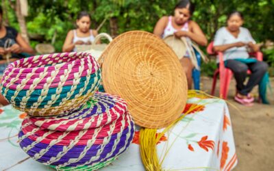 Training Program on Quality and Origin Labels for Inclusive Territorial Development – Colombia