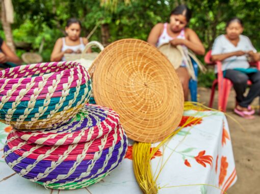 Training Program on Quality and Origin Labels for Inclusive Territorial Development – Colombia