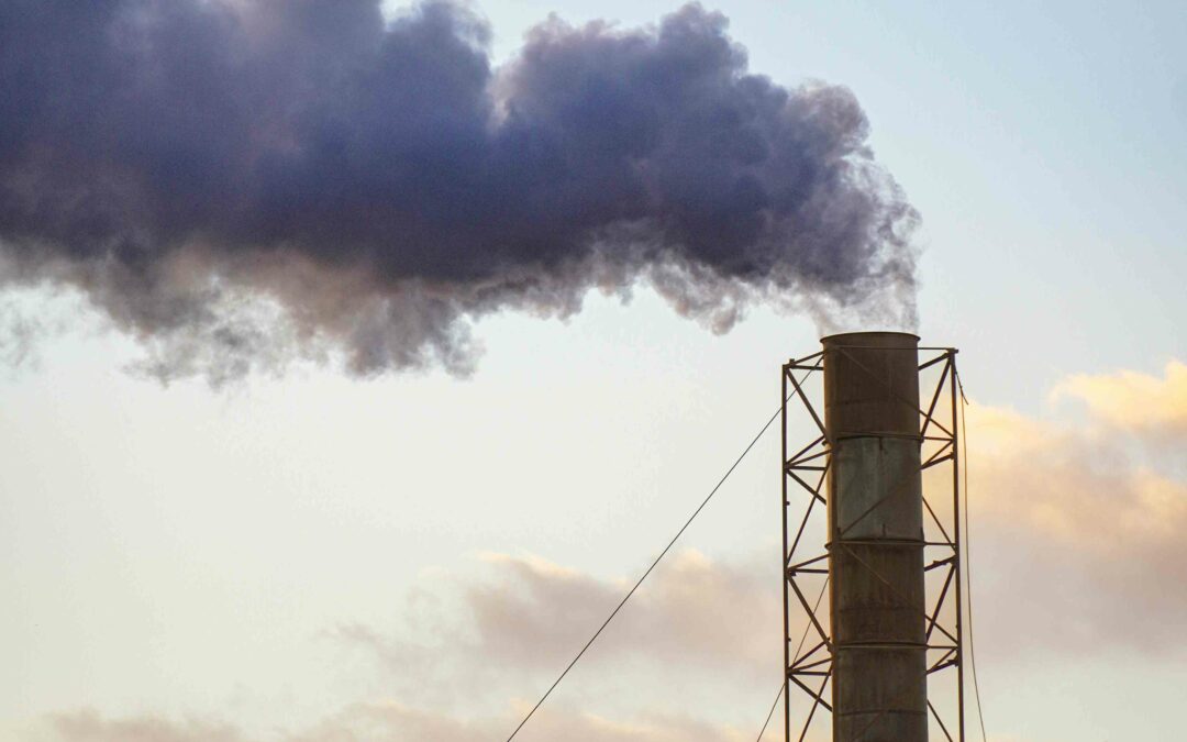 Social Impact Assessment Criteria for the certification of carbon market projects – Ecuador