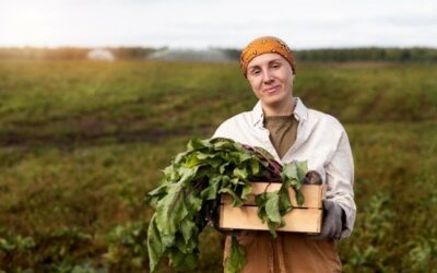 Market analysis, capacity building, and stakeholder strategies for six community-based organisations in Cesar and La Guajira – Colombia