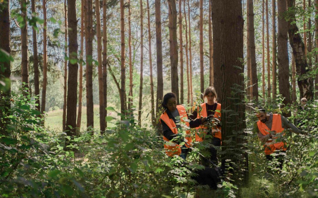 Final Evaluation of REDD+ Program for Deforestation Reduction in Colombia