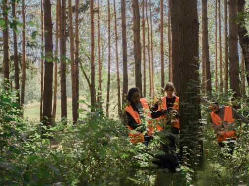 Évaluation finale du programme REDD+ visant à réduire la déforestation en Colombie