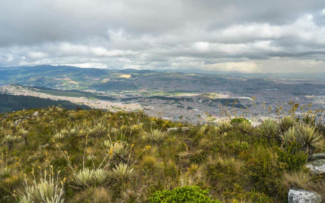 Projet pilote de restauration et de gestion des espèces envahissantes à Bogotá – Colombie