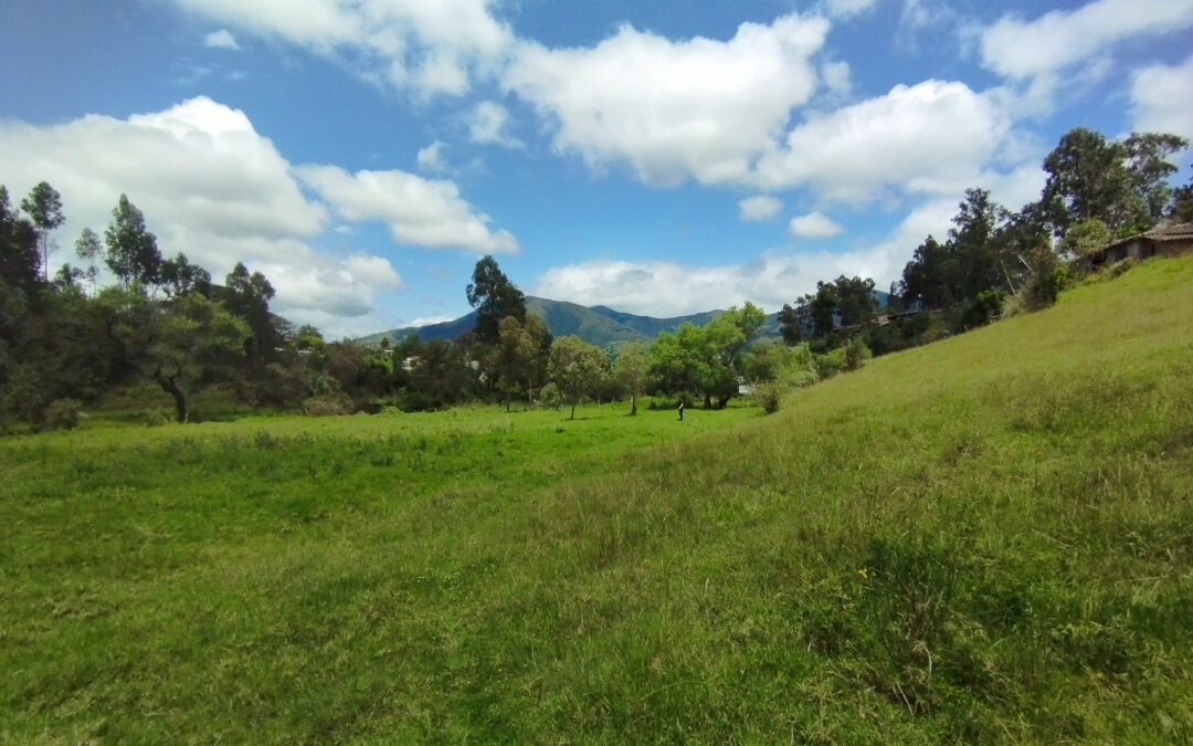 Resettlement Policy Framework (RPF) for a sanitary sewerage system – Ecuador