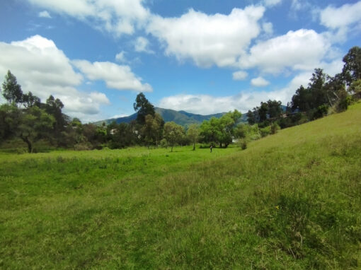 Cadre Politique de Réinstallation (CPR) pour un projet de réseau et d&rsquo;assainissement  – Equateur