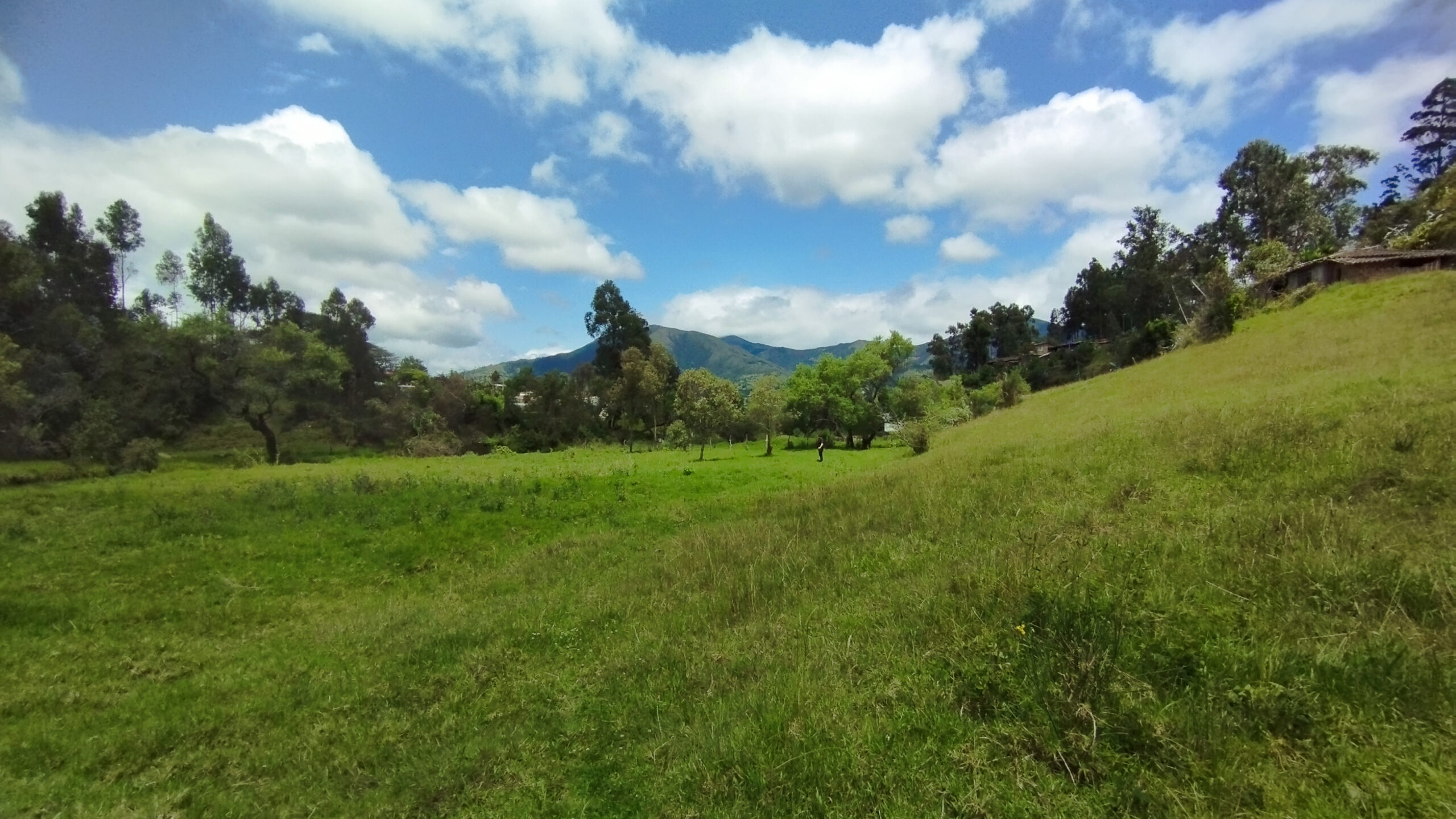 AFD_LOJA