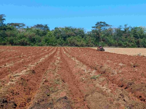 Évaluation de l&rsquo;impact sur les droits de l&rsquo;homme dans la chaîne L’Oréal au Paraguay