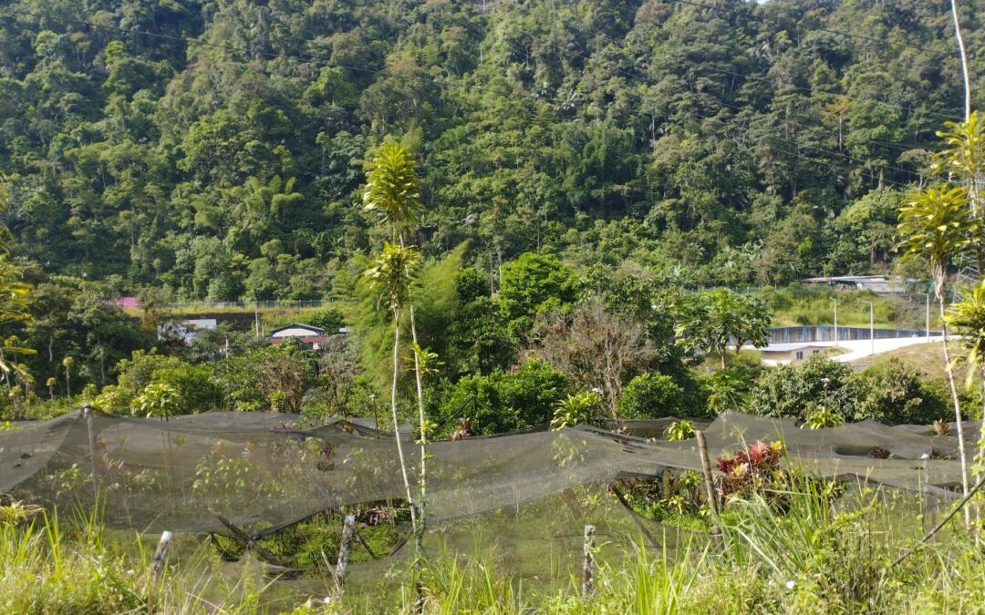 Land Acquisition Policy and Resettlement Action Plan for an hydroelectric project – Ecuador