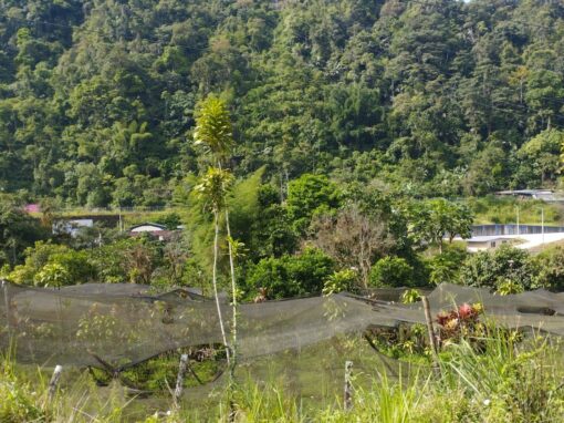 Politique d&rsquo;acquisition et plan d&rsquo;action pour la réinstallation dans le cadre d&rsquo;un projet hydroélectrique – Equateur