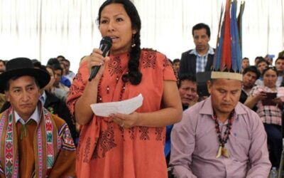Estudio de línea de base para diálogo multiactor en regiones mineras de Pasco – Perú