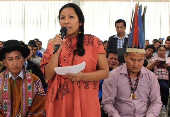 Étude de base pour le dialogue multi-acteurs dans les régions minières de Pasco – Pérou