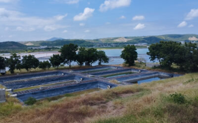 Mise à jour de l’EIES, du PGE et de l’analyse climatique pour le projet de traitement des eaux usées – Equateur