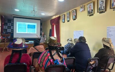 Asistencia técnica para el fortalecimiento de capacidades y sensibilización para el diálogo en Perú
