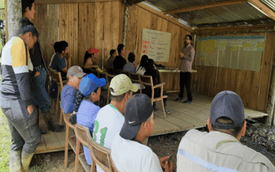 Environmental and Social Due Diligence (ESDD) for Manzanillo Power Land – Dominican Republic