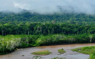 Environmental and Social Due Diligence for the Legacy Landscapes Fund in Madidi – Bolivia