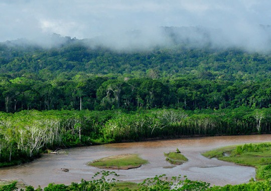 Audit environnemental et social pour le Legacy Landscapes Fund à Madidi – Bolivie