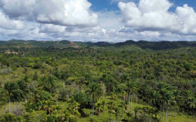 Environmental, Social, and Climate Feasibility for the CRYS Project – Dominican Republic