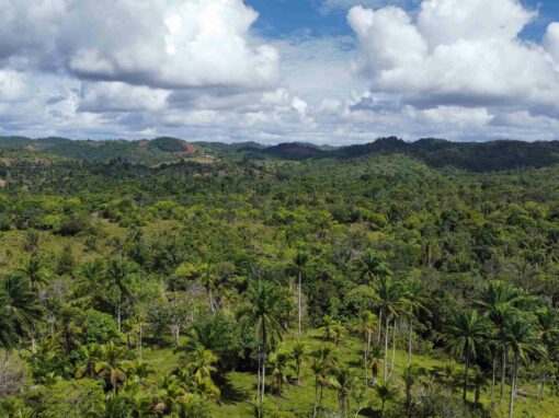 Estudio de factibilidad ambiental, social y climática del Proyecto CRYS – República Dominicana