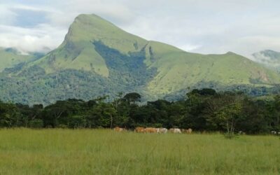 Social Impact Assessment for the Kon Kweni Iron Ore Project – Guinea